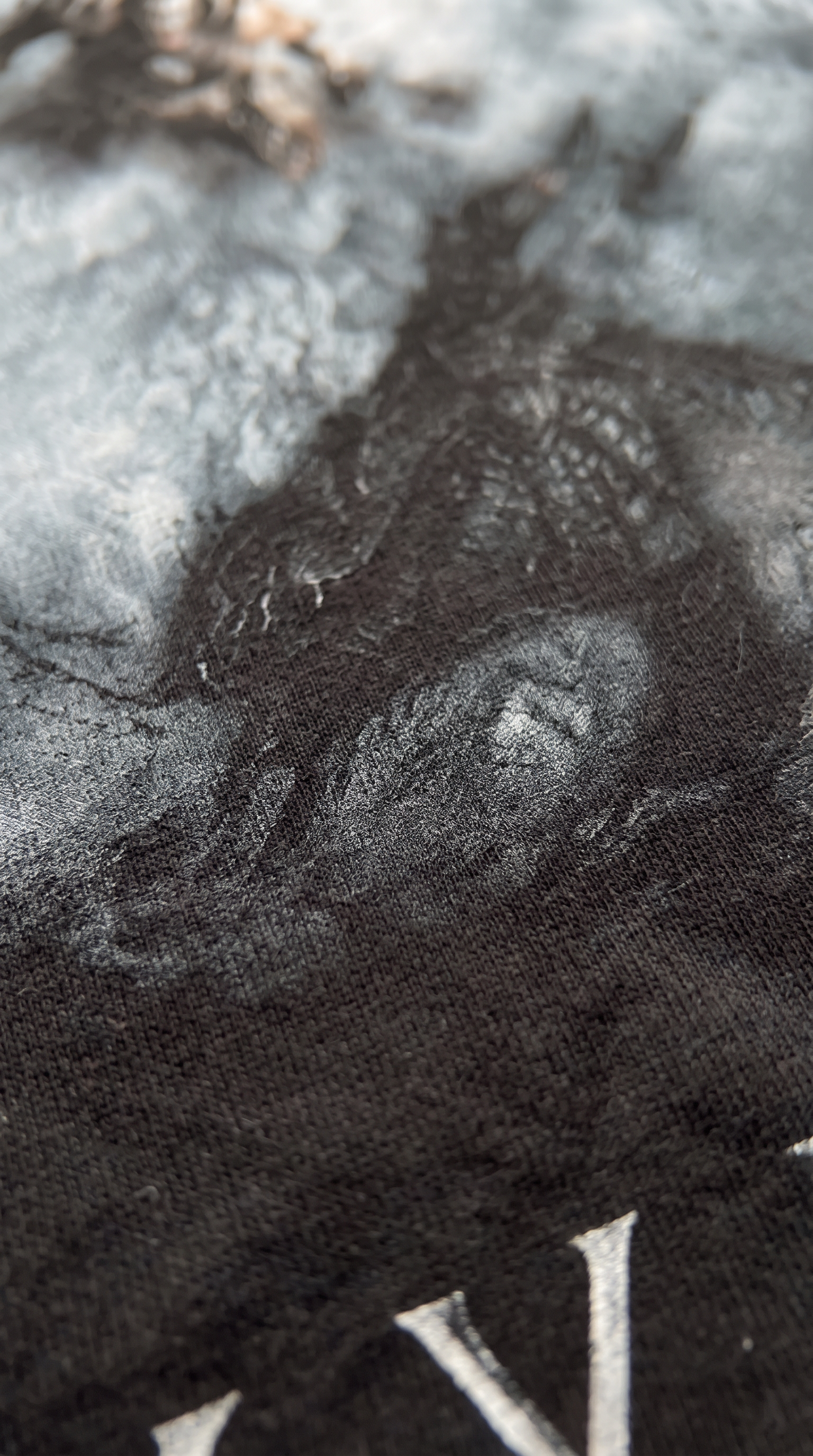Skyrim T-Shirt